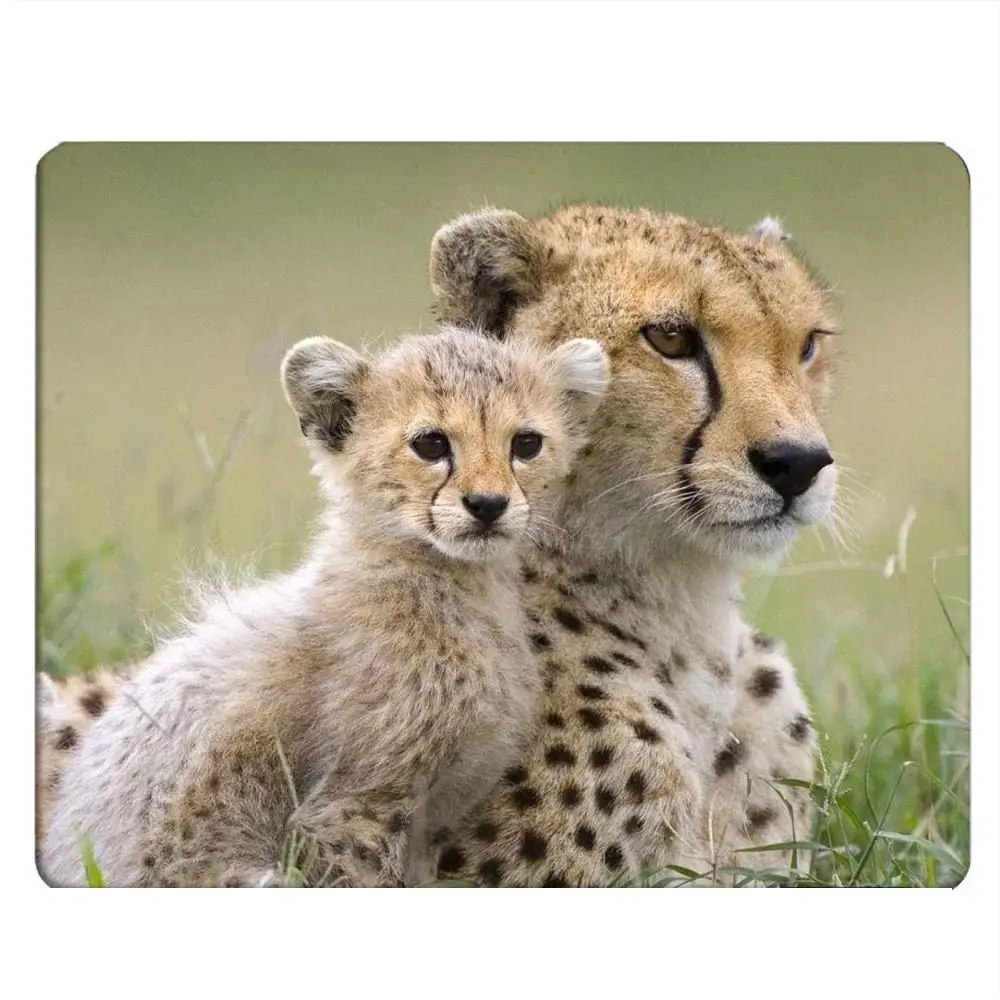 Hot-Selling Cute Animals Printing Mouse Pads Comfortable Gaming Mousepad Mouse Mat Keyboard Mats Desk Pad 22x18cm
Hot-Selling Cute Animals Printing Mouse Pads Comfortable Gaming Mousepad Mouse Mat Keyboard Mats Desk Pad 22x18cm