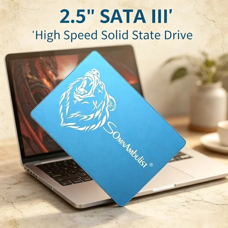 Worthwhile SATA3 Solid State Drive SomnAmbulist SSD 128GB~2TB Storage for Laptop Desktop
Worthwhile SATA3 Solid State Drive SomnAmbulist SSD 128GB~2TB Storage for Laptop Desktop