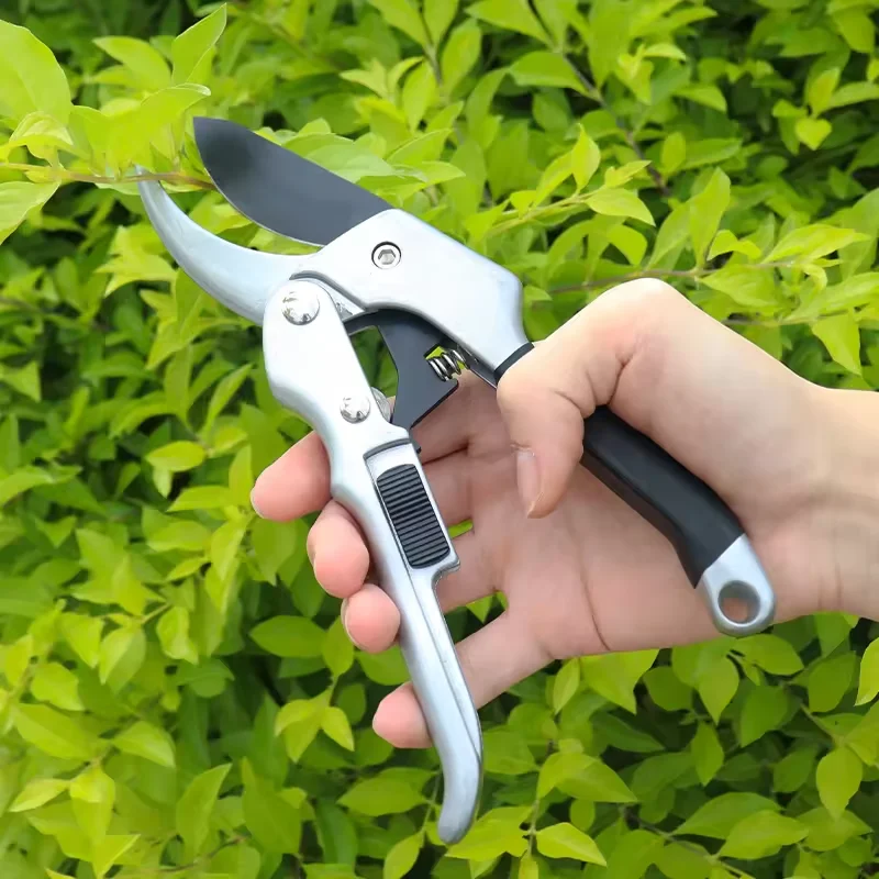 The best hand plant cutter for home grape stainless steel cordless garden grafting scissors tool
The best hand plant cutter for home grape stainless steel cordless garden grafting scissors tool