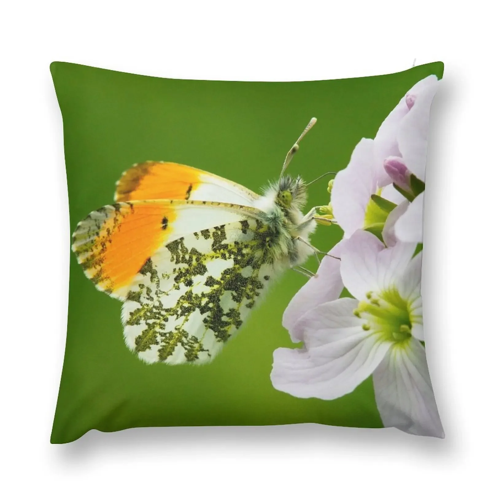 Male Orange-tip Butterfly Throw Pillow Pillow Decor Christmas Covers christmas cushions covers pillow
Male Orange-tip Butterfly Throw Pillow Pillow Decor Christmas Covers christmas cushions covers pillow