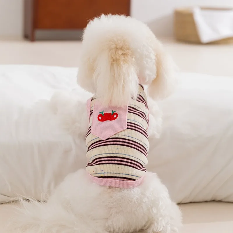 Two Legs Pet Vest Cherry Stripe Dog Clothes Small and Medium Dog Summer Pullover Teddy Cute Fruit T-Shirt
Two Legs Pet Vest Cherry Stripe Dog Clothes Small and Medium Dog Summer Pullover Teddy Cute Fruit T-Shirt