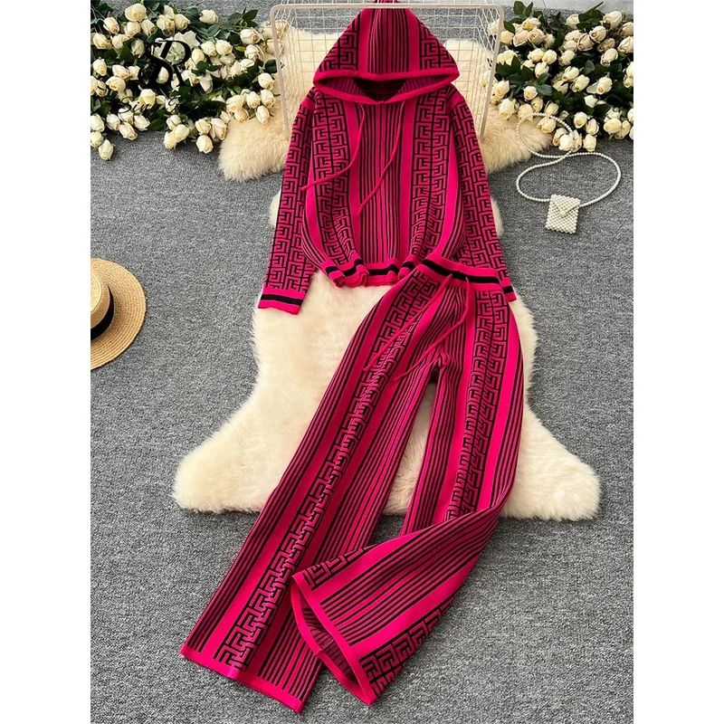13SINGREINY Winter Fashion Knitted Two Pieces Suits Hooded Thick Warm Pullovers+Wide Legs Pants Geometric Print Sweater Sets
13SINGREINY Winter Fashion Knitted Two Pieces Suits Hooded Thick Warm Pullovers+Wide Legs Pants Geometric Print Sweater Sets