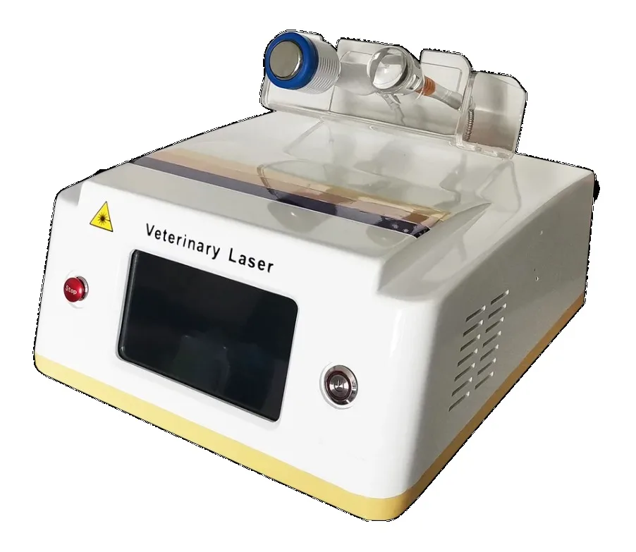 980Nm Laser Wound Healing Speed Removers Pain Removal Machine Use Laser Veterinary Lesions Therapy
980Nm Laser Wound Healing Speed Removers Pain Removal Machine Use Laser Veterinary Lesions Therapy
