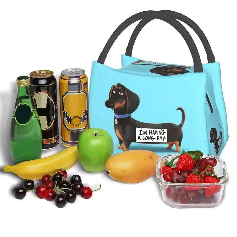 Custom Kawaii Dachshund Thermal Insulated Lunch Bag Sausage Badger Wiener Dog Portable Lunch Tote for Travel Meal Food Box
Custom Kawaii Dachshund Thermal Insulated Lunch Bag Sausage Badger Wiener Dog Portable Lunch Tote for Travel Meal Food Box
