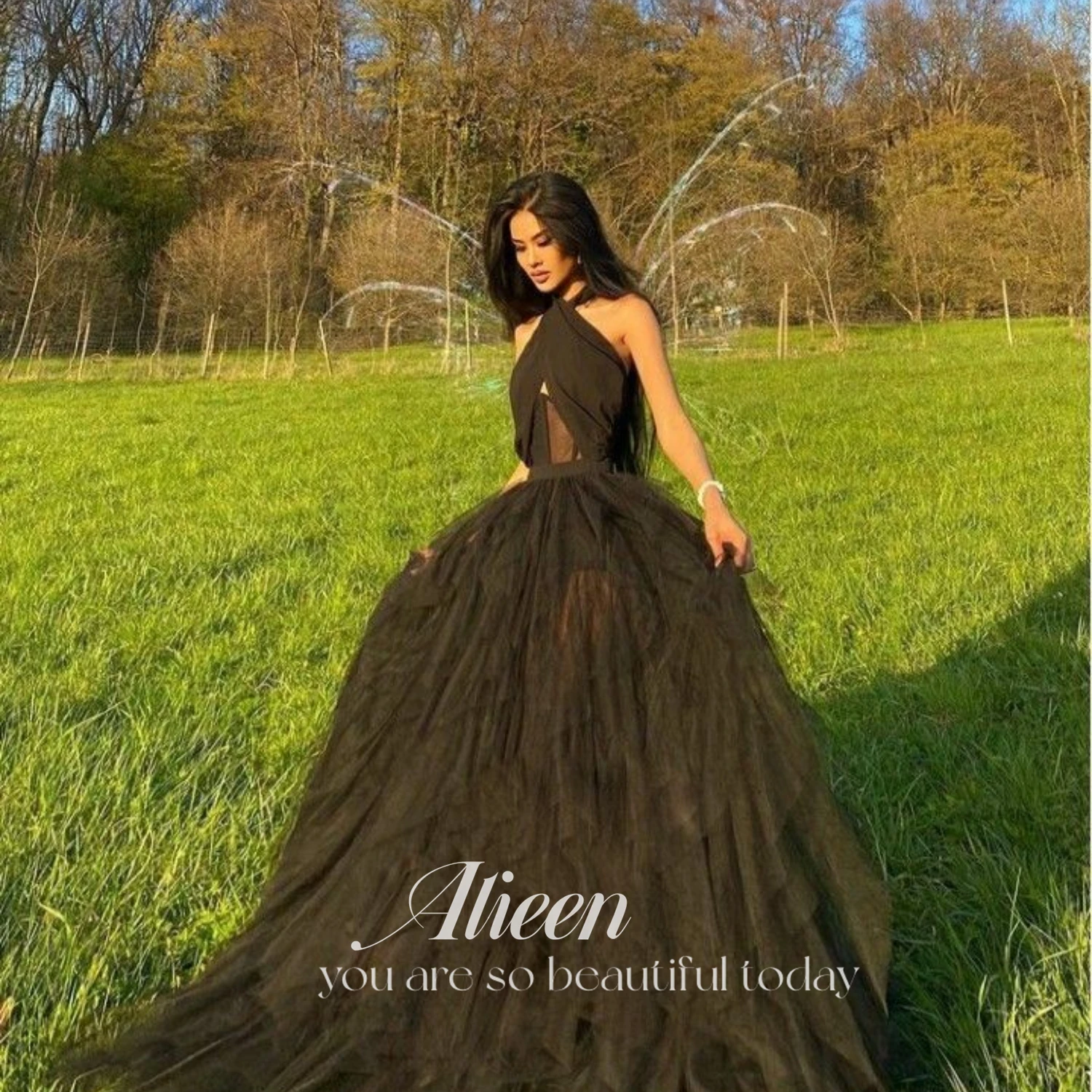 Aileen Black Party Dress Women Elegant Luxury Evening Dresses for Women 2023 Mesh Ball Gowns Fluffy Cocktail of Dresses Formal
Aileen Black Party Dress Women Elegant Luxury Evening Dresses for Women 2023 Mesh Ball Gowns Fluffy Cocktail of Dresses Formal