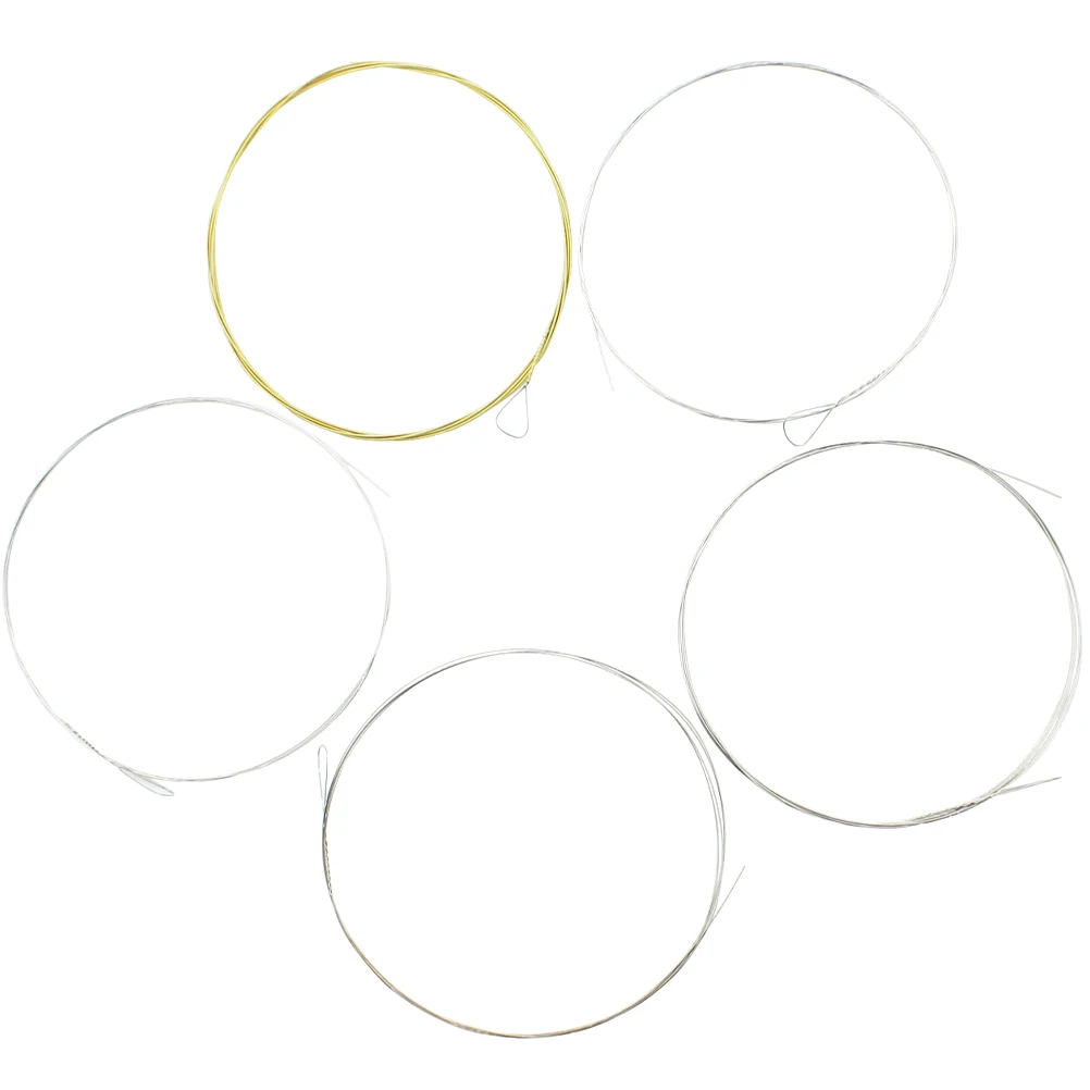 5pcs Five-string Banjo Strings Music Wire Replacing Accessories Kit Stringed Instrument Repair Part High-grade Easy Replacement
5pcs Five-string Banjo Strings Music Wire Replacing Accessories Kit Stringed Instrument Repair Part High-grade Easy Replacement