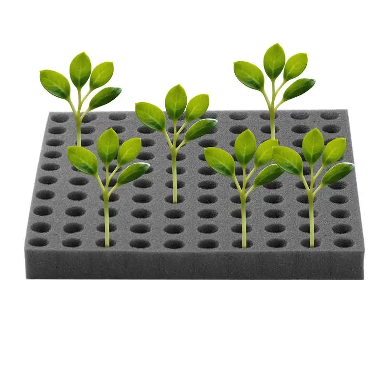 Dirt Resistant Seedling Sponge Soilless Foam Seedling Medium Seed Sponge Cube Growth Square Hydroponics Garden supplies
Dirt Resistant Seedling Sponge Soilless Foam Seedling Medium Seed Sponge Cube Growth Square Hydroponics Garden supplies