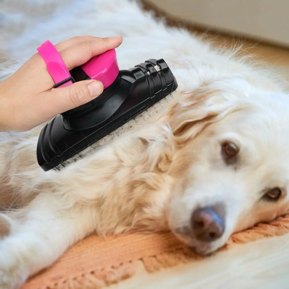 Plastic Harness Spray Brush Adjustable Straps Horse Care Pet Bathing Brush Sprayable Horse Bath Massage Brush Dogs
Plastic Harness Spray Brush Adjustable Straps Horse Care Pet Bathing Brush Sprayable Horse Bath Massage Brush Dogs