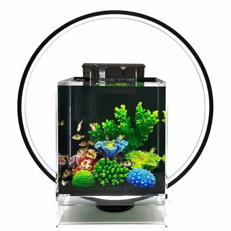 Desktop LED Aquarium Lamp for Mini Aquariums Plant Light Desktop Decorative Light with Acrylic Board Fish Tank Plant Grow
Desktop LED Aquarium Lamp for Mini Aquariums Plant Light Desktop Decorative Light with Acrylic Board Fish Tank Plant Grow