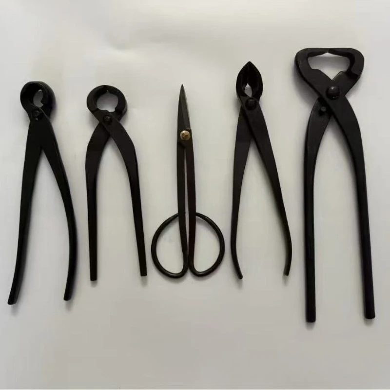 Bonsai Tools Potted Plant Tools Gardening Shears Bonsai Potted Plant Pruning Potted Plant Tools Set Pruning
Bonsai Tools Potted Plant Tools Gardening Shears Bonsai Potted Plant Pruning Potted Plant Tools Set Pruning