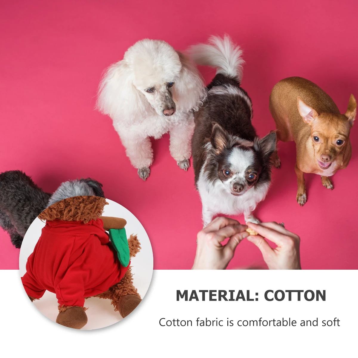 Red Apple Shaped Clothes Costume Funky Pet Supplies Halloween Christmas Party Outfits Dog Jackets For Small Medium Large Dogs
Red Apple Shaped Clothes Costume Funky Pet Supplies Halloween Christmas Party Outfits Dog Jackets For Small Medium Large Dogs