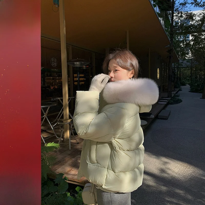 Retro Style Fur Collar down Jacket Waterproof Warmth Luxury Hooded Polyester Fabric White Duck down Filling Women's Coat
Retro Style Fur Collar down Jacket Waterproof Warmth Luxury Hooded Polyester Fabric White Duck down Filling Women's Coat