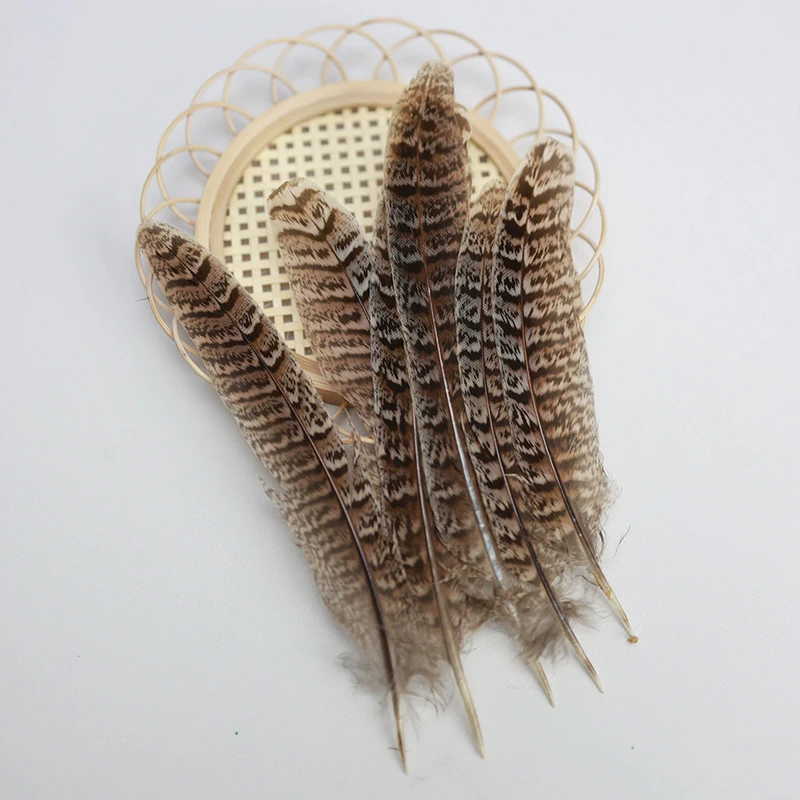 100Pcs/Lot 4-6" 10-15cm Natural Hen Ringneck PHEASANT Tail FEATHERS Craft Millinery Fly Fishing ,Plume,Feathers,перья
100Pcs/Lot 4-6" 10-15cm Natural Hen Ringneck PHEASANT Tail FEATHERS Craft Millinery Fly Fishing ,Plume,Feathers,перья
