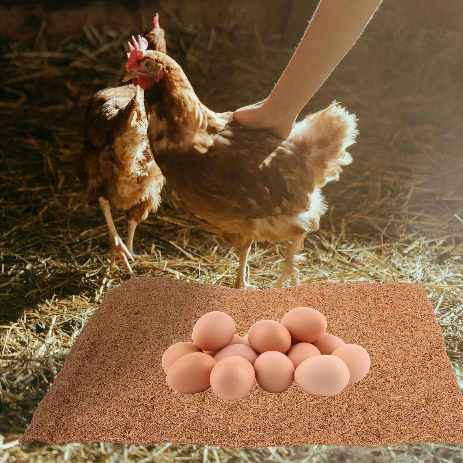 4 Pcs Nesting Pad Chicken Laying Pads Reusable for Coop Washable Roaster Liners Mats Natural Bedding
4 Pcs Nesting Pad Chicken Laying Pads Reusable for Coop Washable Roaster Liners Mats Natural Bedding