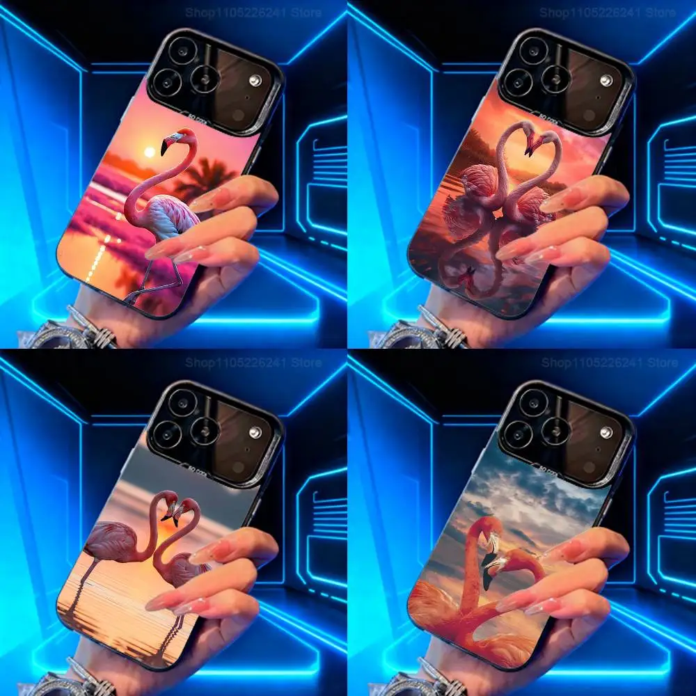 Pink Animal Flamingos Cute For iPhone 17,14,15,11,Mini,Pro,SE,XS,MAX,12,16,13,Black Matte Silicone Cover Case
Pink Animal Flamingos Cute For iPhone 17,14,15,11,Mini,Pro,SE,XS,MAX,12,16,13,Black Matte Silicone Cover Case