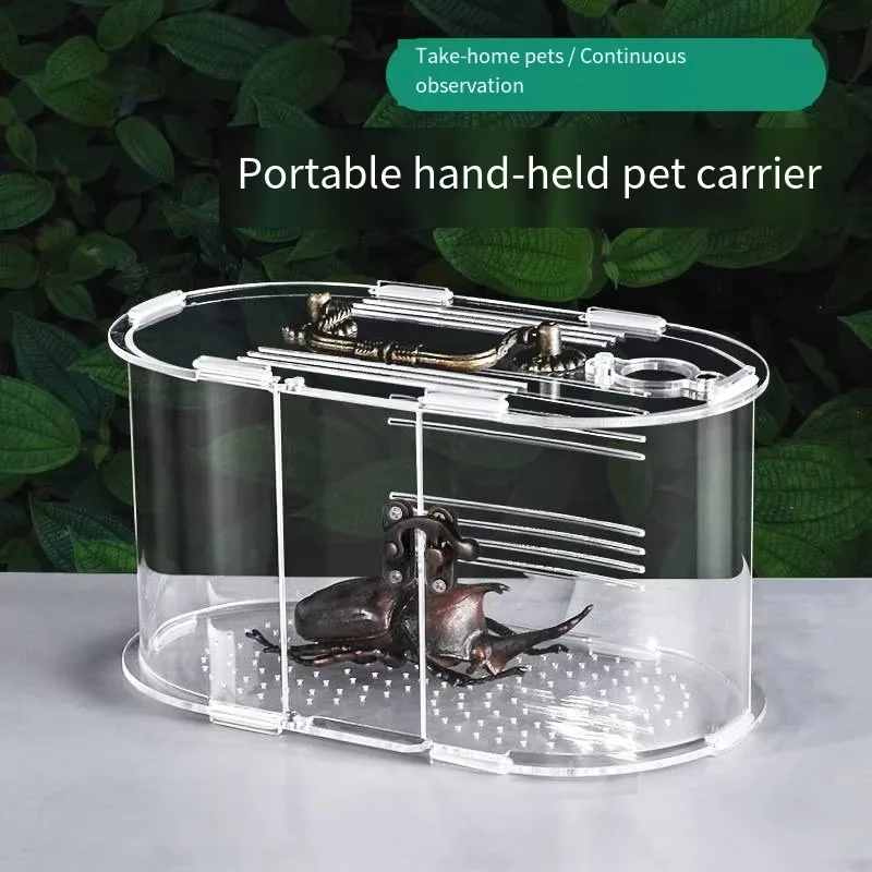 Acrylic Pet Box Insect Breeding Box with Handle Observation Lizard Frog Cage Portable Viewing Cage
Acrylic Pet Box Insect Breeding Box with Handle Observation Lizard Frog Cage Portable Viewing Cage