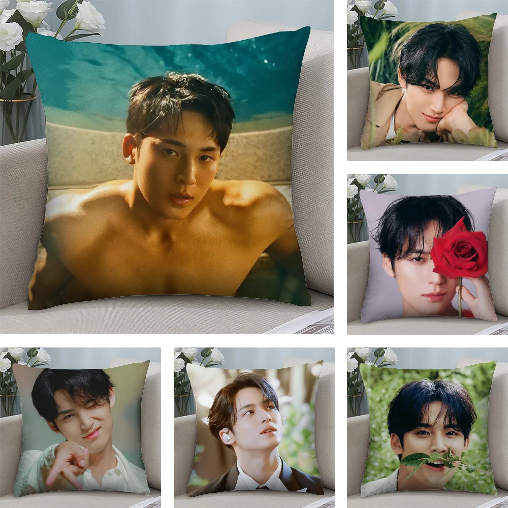 Singer M-Mingyu Pillow Case Plush Fabric Soft Double Sided Print Sofa Cushion Cover Throw Pillow Covers
Singer M-Mingyu Pillow Case Plush Fabric Soft Double Sided Print Sofa Cushion Cover Throw Pillow Covers