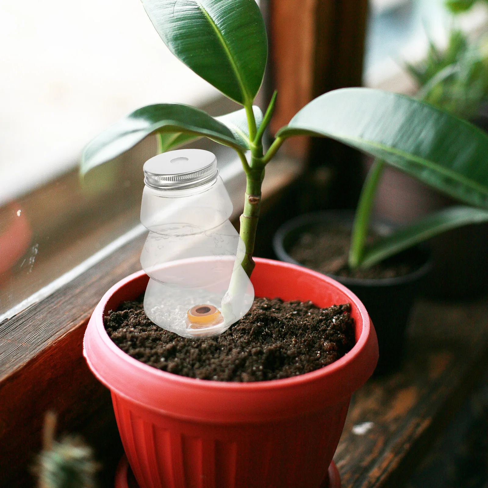 2pcs Automatic Device For Plants Self Tool Indoor Garden System Ceramic Plastic Succulent Waterer Vacation
2pcs Automatic Device For Plants Self Tool Indoor Garden System Ceramic Plastic Succulent Waterer Vacation