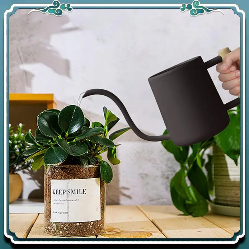 Premium Watering Can Indoor Plants, 35 Oz/1000 Ml Metal Stainless Steel Watering Can Pot With Long Spout For Indoor House
Premium Watering Can Indoor Plants, 35 Oz/1000 Ml Metal Stainless Steel Watering Can Pot With Long Spout For Indoor House