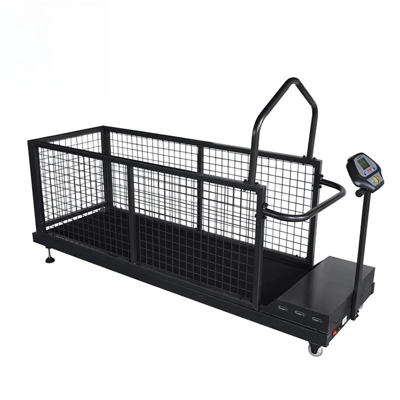 Pet Dog Cat Animal Fitness Life Treadmill Veterinary Equipment
Pet Dog Cat Animal Fitness Life Treadmill Veterinary Equipment