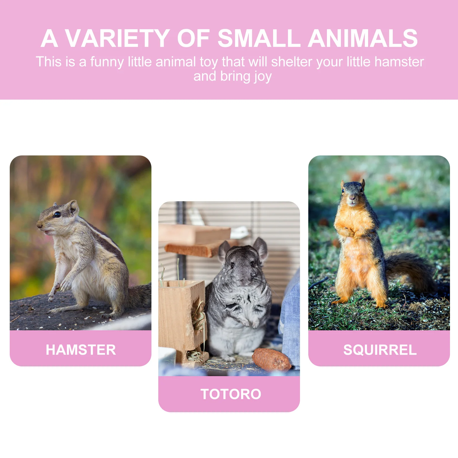 Acrylic Hamster Bath Room Sand Bath Container Easy Clean Small Hamster Bathtub Pet Bathroom Cage Accessory Pet Supply
Acrylic Hamster Bath Room Sand Bath Container Easy Clean Small Hamster Bathtub Pet Bathroom Cage Accessory Pet Supply