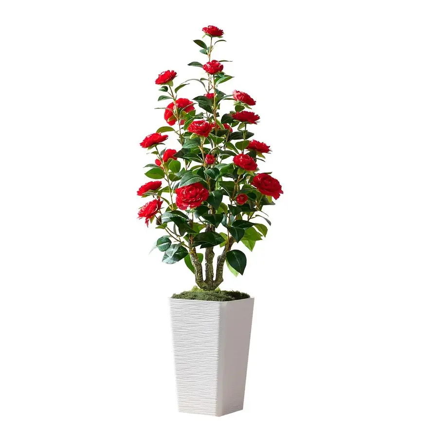 Camellia Tree 4FT Faux Trees Indoor Fake Floral Plant Blooming Tree with Red Flowers amp White Tall Planter, Faux Camellia Plant
Camellia Tree 4FT Faux Trees Indoor Fake Floral Plant Blooming Tree with Red Flowers amp White Tall Planter, Faux Camellia Plant