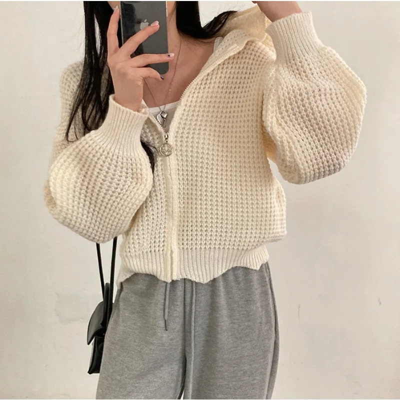 Шикарный свободный крой, однотонный милый женский короткий кардиган с капюшоном, осень-зима, повседневный корейский вариант, вязаный свитер на молнии, пальто
Шикарный свободный крой, однотонный милый женский короткий кардиган с капюшоном, осень-зима, повседневный корейский вариант, вязаный свитер на молнии, пальто