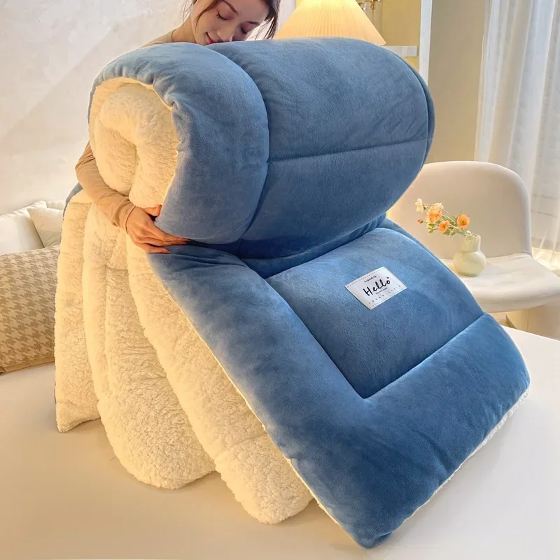 Lamb wool quilt new thickened thermal quilt core winter dormitory single student winter quilt
Lamb wool quilt new thickened thermal quilt core winter dormitory single student winter quilt