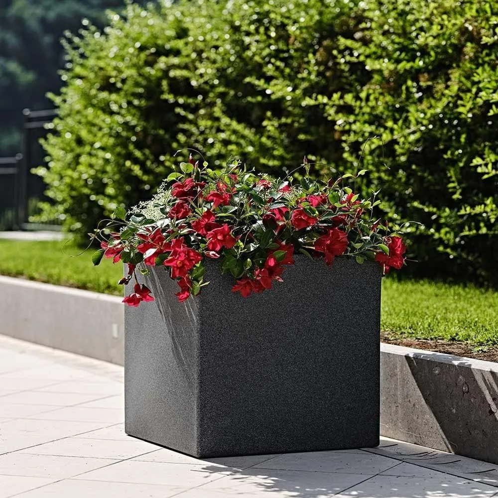Elegant Modern Black Matte Square Indoor Outdoor Planter Pot – 16”H X 16”W X 16”L - Cube Shaped Flower Pot
Elegant Modern Black Matte Square Indoor Outdoor Planter Pot – 16”H X 16”W X 16”L - Cube Shaped Flower Pot