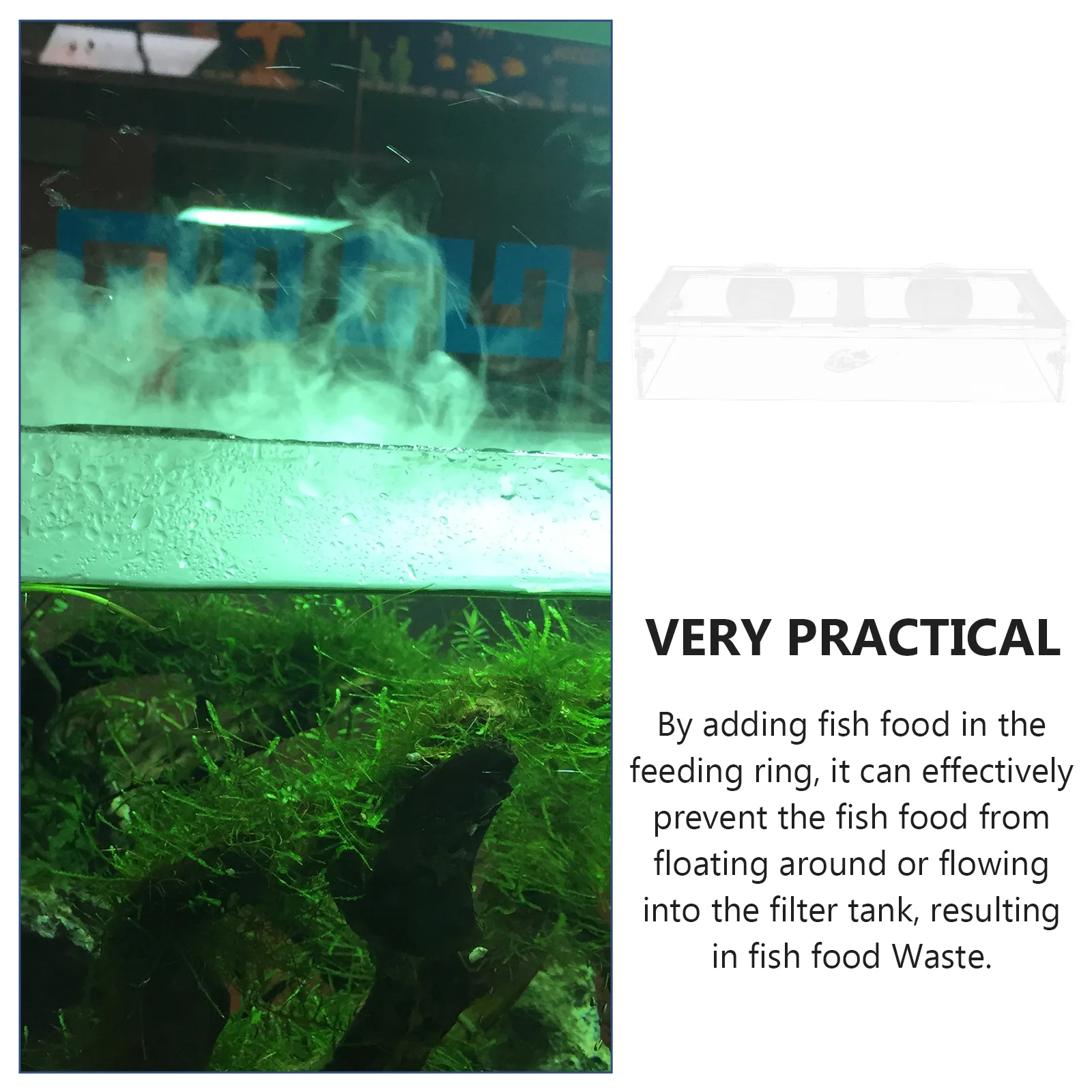 1Pcs Fish Tank Feeder Suction Cup Aquarium Feeding Tool Exquisite Workmanship Durability Easy Observation Fish Feeder
1Pcs Fish Tank Feeder Suction Cup Aquarium Feeding Tool Exquisite Workmanship Durability Easy Observation Fish Feeder