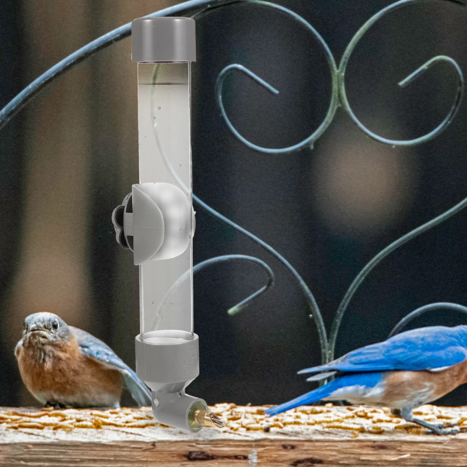 Bird Water Dispenser Plastic Parrot Automatic Drinking Device Cage Hanging Feeder Suitable for Parakeet Dove Cage Accessories
Bird Water Dispenser Plastic Parrot Automatic Drinking Device Cage Hanging Feeder Suitable for Parakeet Dove Cage Accessories