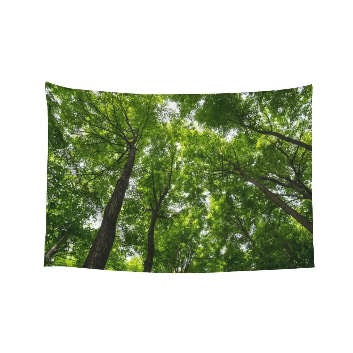 Natural Skylights - Biophilic Ceiling in the Forest Tapestry Art Mural Room Decor Outdoor Decoration Tapestry
Natural Skylights - Biophilic Ceiling in the Forest Tapestry Art Mural Room Decor Outdoor Decoration Tapestry