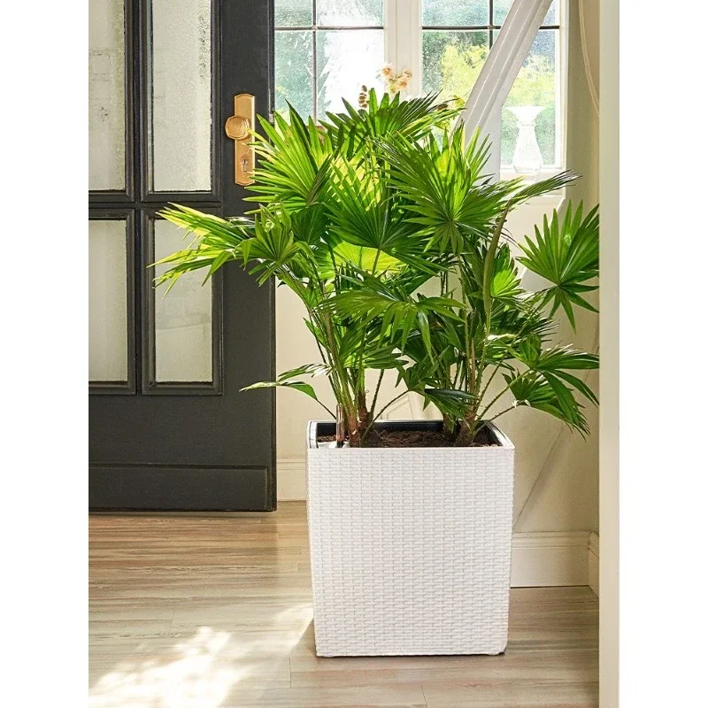 Flower pot self-priming water green plants, imitation rattan large indoor and outdoor floor water storage
Flower pot self-priming water green plants, imitation rattan large indoor and outdoor floor water storage