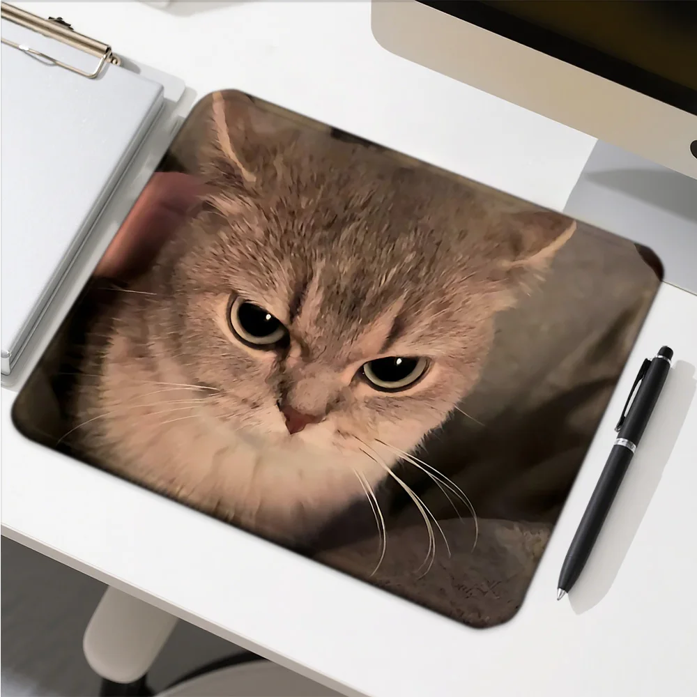 Коврик для компьютера с забавными изображениями кошек, аксессуары для рабочего стола, коврик для мыши для геймеров, игровые коврики, аниме-коврик для мыши, украшение для стола
Коврик для компьютера с забавными изображениями кошек, аксессуары для рабочего стола, коврик для мыши для геймеров, игровые коврики, аниме-коврик для мыши, украшение для стола