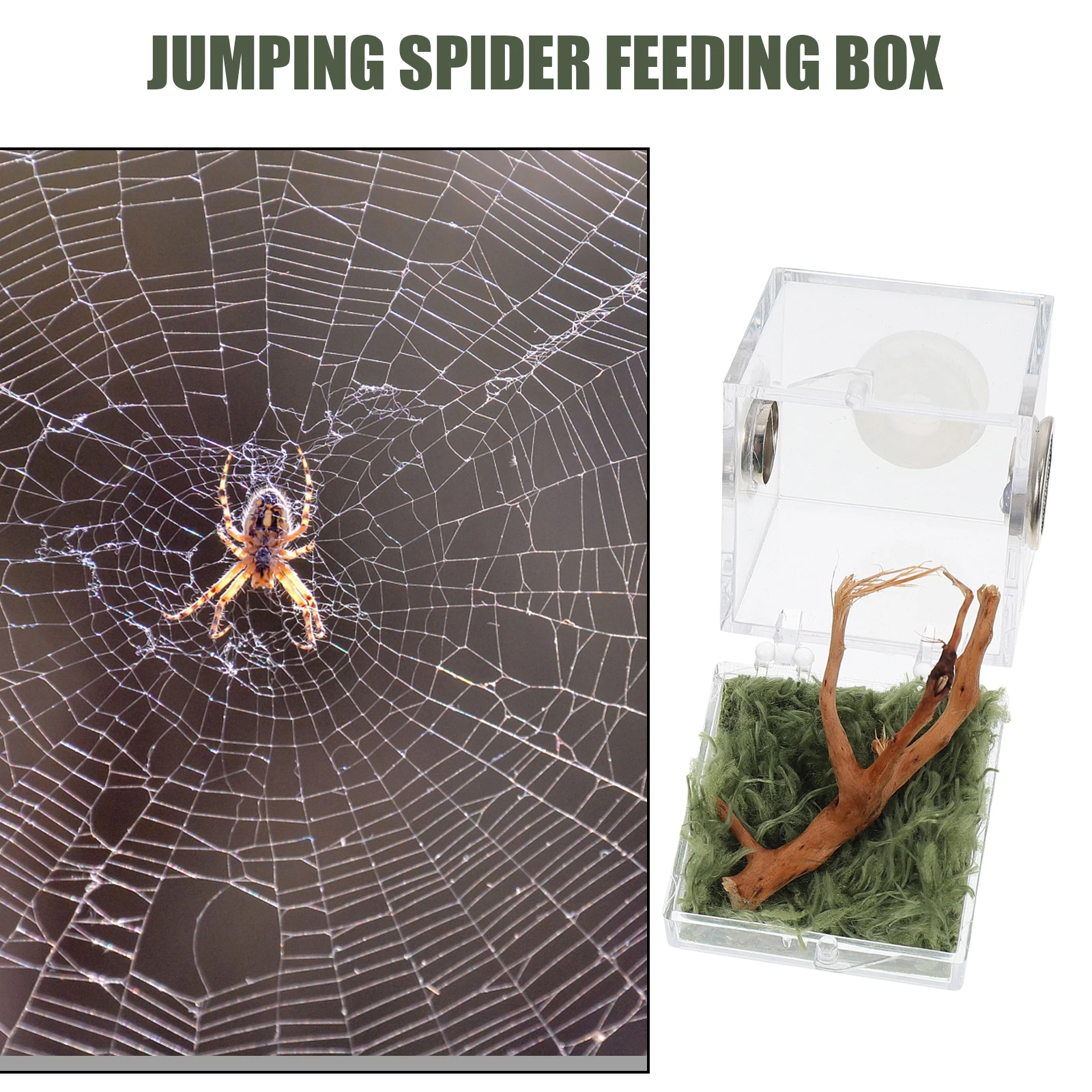 1PC Jumping Spider Breeding Box Small Size Florida Transparent Ventilation Hole Reptile Terrarium Pet Container Acrylic Case
1PC Jumping Spider Breeding Box Small Size Florida Transparent Ventilation Hole Reptile Terrarium Pet Container Acrylic Case