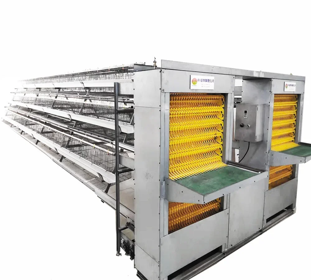 A Type Chicken Layer Battery Cage 10000 Layer Chickens Farm Cage Chicken Battery Cages Poultry Farm for Sale
A Type Chicken Layer Battery Cage 10000 Layer Chickens Farm Cage Chicken Battery Cages Poultry Farm for Sale