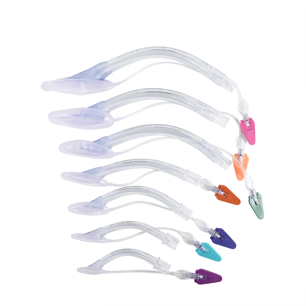 Flexible PVC Laryngeal Mask Airway for Comfortable and Secure Ventilation
Flexible PVC Laryngeal Mask Airway for Comfortable and Secure Ventilation