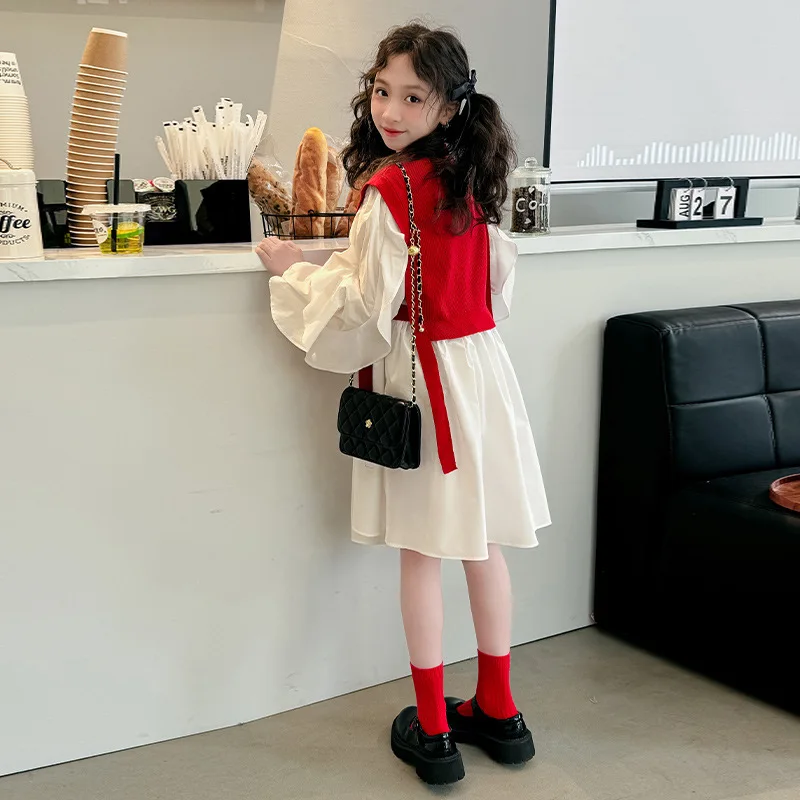 Baby Girl Dress Foreign Dresses Spring Style Children Fashion Princess Skirt 2024 New Spring and Autumn Big Children Girls Skirt
Baby Girl Dress Foreign Dresses Spring Style Children Fashion Princess Skirt 2024 New Spring and Autumn Big Children Girls Skirt