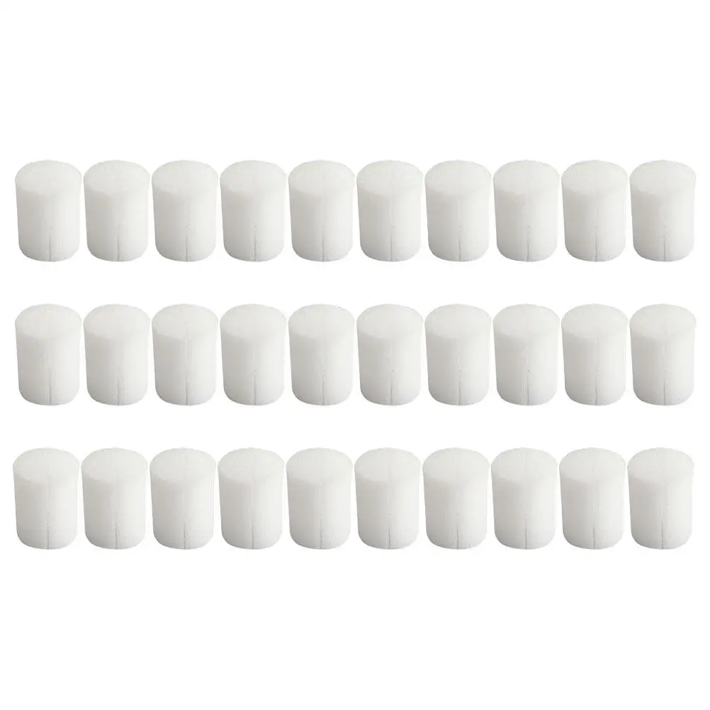Planting Sponge Hydroponic for Green House Sponges Vegetables Sprout Soil-free Gardening Tools Plants
Planting Sponge Hydroponic for Green House Sponges Vegetables Sprout Soil-free Gardening Tools Plants