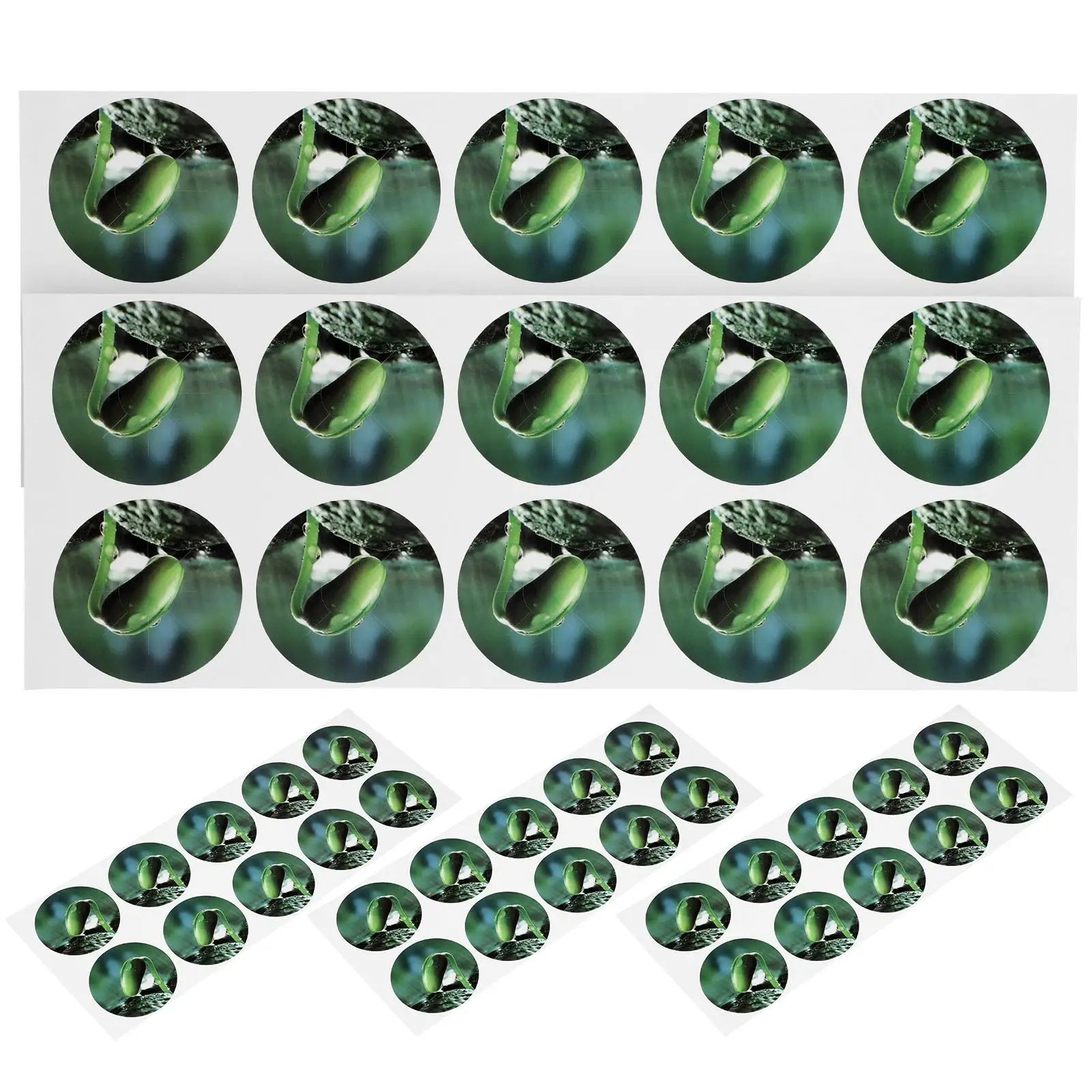 5 Sheets 50 Stickers Soilless Cultivation Moss-proof PVC Labels for Plant Pots Seed Pot Tags Gardening Supplies Hydroponic
5 Sheets 50 Stickers Soilless Cultivation Moss-proof PVC Labels for Plant Pots Seed Pot Tags Gardening Supplies Hydroponic