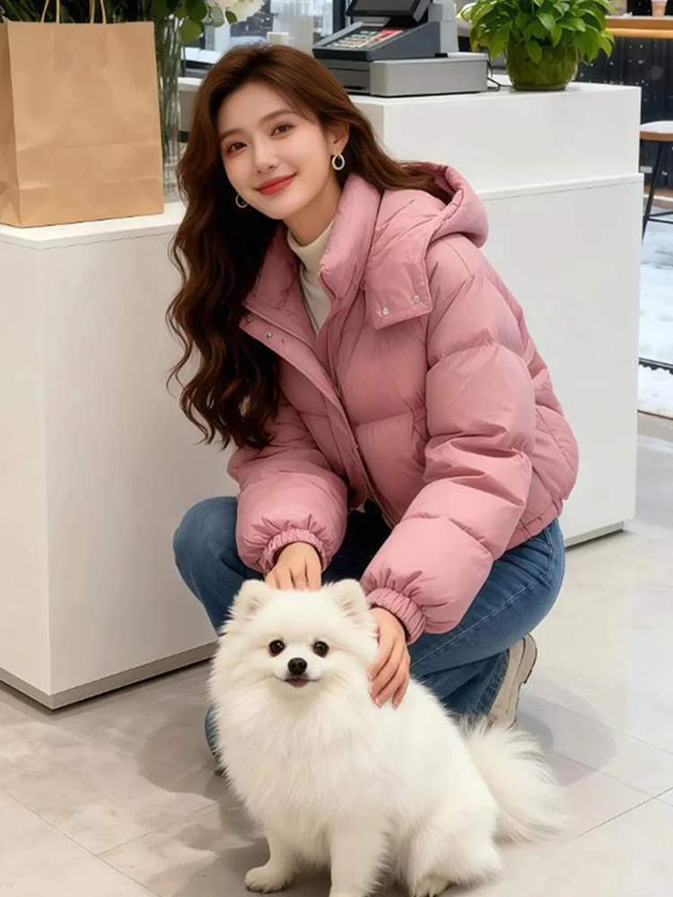 Женская зимняя утепленная куртка из хлопка с пуховым наполнителем, уникальная красивая верхняя одежда на молнии, с длинными рукавами, стандартный крой, в корейском стиле
Женская зимняя утепленная куртка из хлопка с пуховым наполнителем, уникальная красивая верхняя одежда на молнии, с длинными рукавами, стандартный крой, в корейском стиле