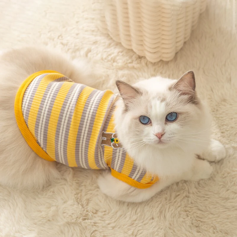 Q Pet Sweater Thin Anti Shedding Blue Toy Puppy Pet Clothes Spring Autumn Lightweight Feline Apparel
Q Pet Sweater Thin Anti Shedding Blue Toy Puppy Pet Clothes Spring Autumn Lightweight Feline Apparel