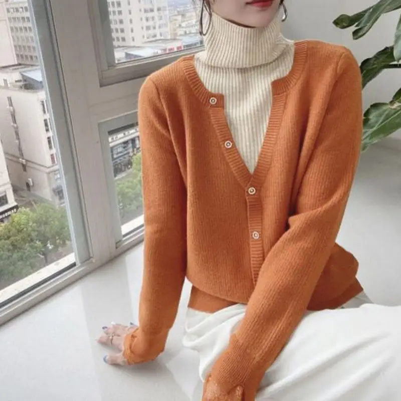 Fashionable Thickened Fake Two Pieces Knitted Women's Sweater Autumn Winter Temperament Loose High Neck Sweater Top for Women
Fashionable Thickened Fake Two Pieces Knitted Women's Sweater Autumn Winter Temperament Loose High Neck Sweater Top for Women