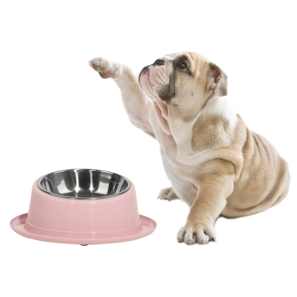 Stainless Steel Pet Bowl Cat Dog Feeder Water Dispenser Non Spill Bowls Anti Slip Design Safe Environmental Home Decor Pet
Stainless Steel Pet Bowl Cat Dog Feeder Water Dispenser Non Spill Bowls Anti Slip Design Safe Environmental Home Decor Pet