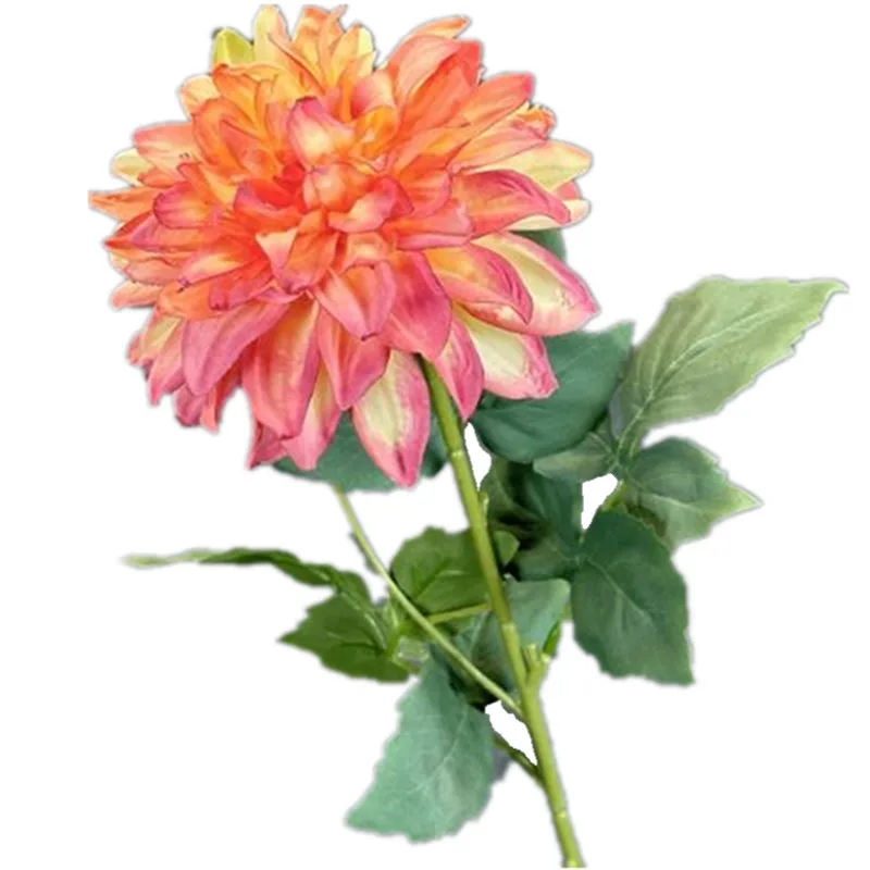 5pcs Silk Single Stem Burnt Dahlia Flower Simulation Fake Oil Painting Peony with Green Leaf Artificial Flowers
5pcs Silk Single Stem Burnt Dahlia Flower Simulation Fake Oil Painting Peony with Green Leaf Artificial Flowers