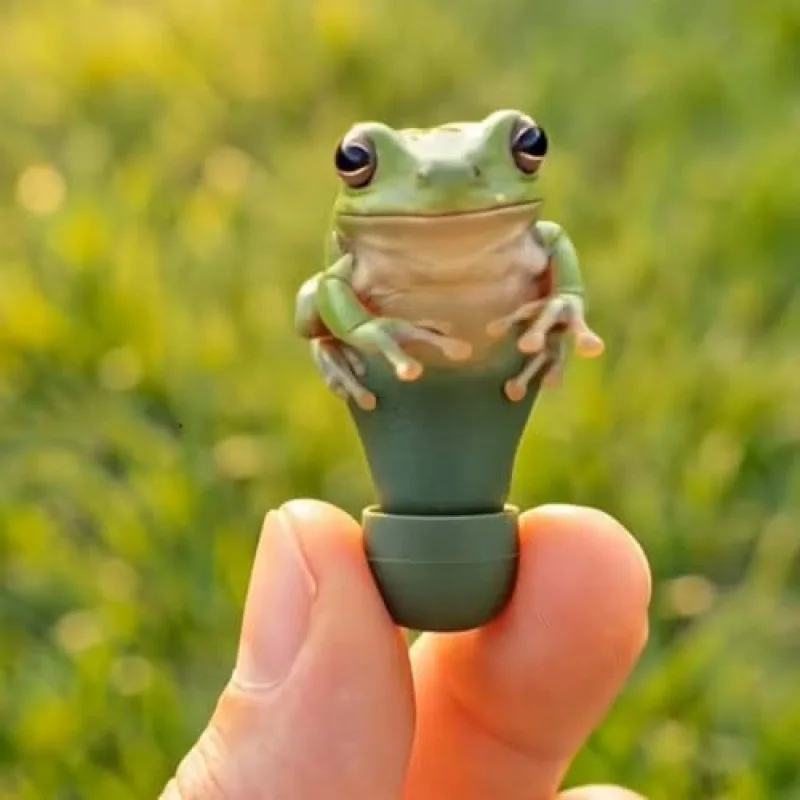 Беспроводные Bluetooth-наушники Cute Frog | Шумоподавление, глубокие басы, водонепроницаемость IPX4
Беспроводные Bluetooth-наушники Cute Frog | Шумоподавление, глубокие басы, водонепроницаемость IPX4