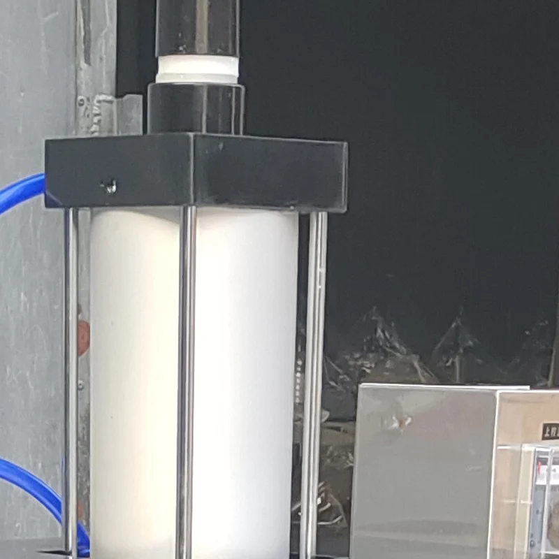 Commercial Pasta Maker Commercial Pizza Dough Pastry Press Machine Pasta Maker Spring Rolls Burritos Flattening Machine
Commercial Pasta Maker Commercial Pizza Dough Pastry Press Machine Pasta Maker Spring Rolls Burritos Flattening Machine