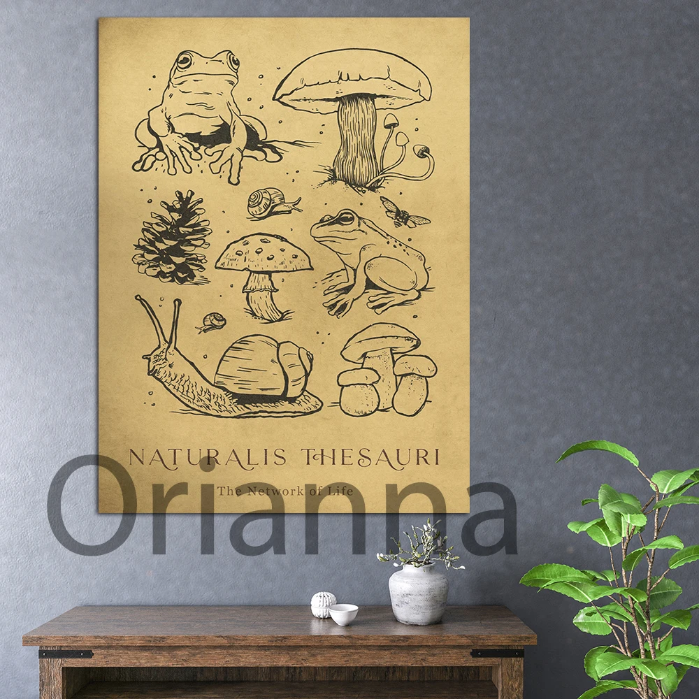 Hd Print Painting Vintage Mushrooms And Frogs Variety Picture Home Decor Modern Canvas Poster Living Room Bedroom Wall Artwork
Hd Print Painting Vintage Mushrooms And Frogs Variety Picture Home Decor Modern Canvas Poster Living Room Bedroom Wall Artwork