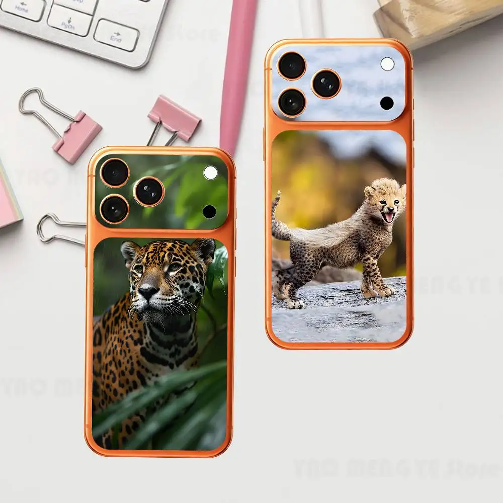 Animal Cut Cheetah For IPhone 17 Pro ProMax Full Back Cover Decal Wrap Skin Rear Protective Sticker Film
Animal Cut Cheetah For IPhone 17 Pro ProMax Full Back Cover Decal Wrap Skin Rear Protective Sticker Film