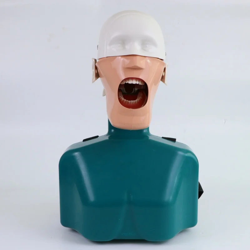 Dental Education Phantom Manikin Head with Torso Dental Simulator Model
Dental Education Phantom Manikin Head with Torso Dental Simulator Model